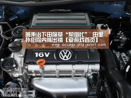 萧秉治下田除草“帮倒忙” 田里扑街险内裤出镜【爱游戏首页】(图2) 爱游戏首页