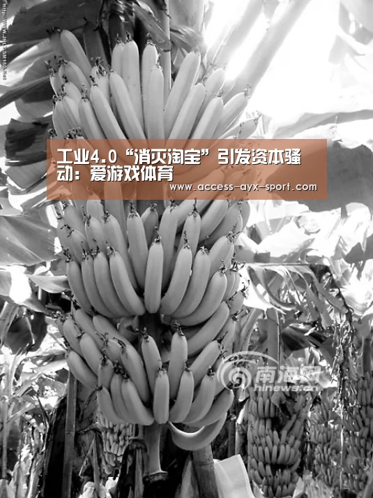 工业4.0“消灭淘宝”引发资本骚动:爱游戏体育(图2) 爱游戏官网