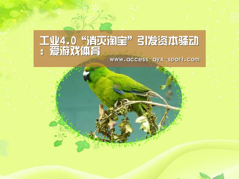 工业4.0“消灭淘宝”引发资本骚动:爱游戏体育(图1) 爱游戏官网